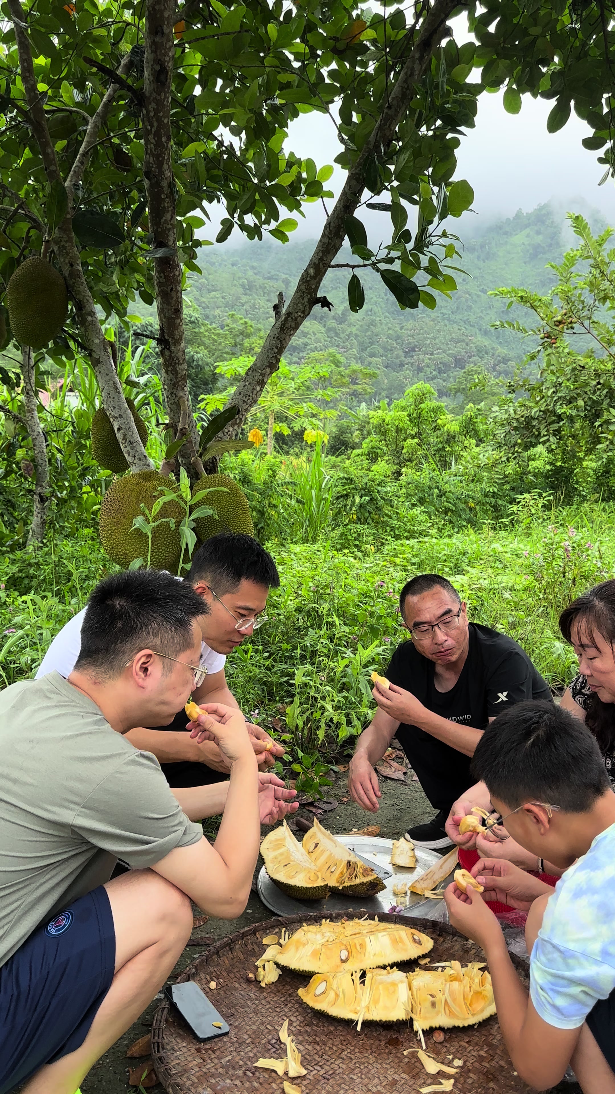 Du kh&aacute;ch nước bạn tới C&aacute;t L&yacute; trải nghiệm . H&aacute;i m&iacute;t v&agrave; thưởng thức M&iacute;t tại gốc M&iacute;t lu&ocirc;n😀#catlycamping❤️🙆&zwj;♂️ #dulichhagiang #xuhuongtiktok2024 