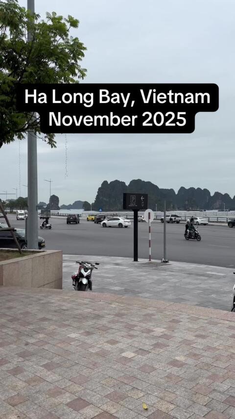 Footage of Ha Long Bay during November 2025. Might be a decent time to visit before Winter crowds. #vietnam #travelgram #wanderlust #tastetesting #mindblowing 