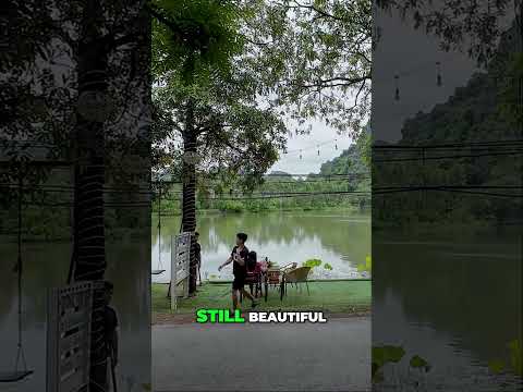 Fewer Lotuses? Stunning Lakeside Homestay, Ninh Binh Vietnam