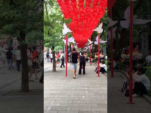 Vietnam Celebrate 2025&rsquo;s National Day🇻🇳🇻🇳🇻🇳 #shorts