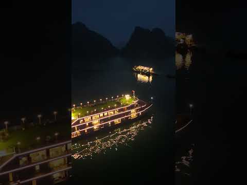 Stay overnight on a Halong luxury cruise hit different at night 😍