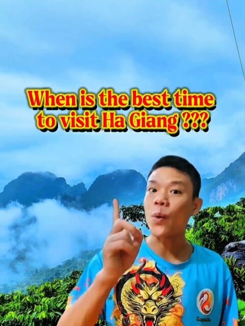 When is the best time to visit? &ndash; Ha Giang Loop &ndash; It&rsquo;s a question almost every traveler asks. In this video, we&rsquo;ll show you the beauty of Ha Giang in all four seasons &ndash; and reveal the three most breathtaking times of the year to explore this wild, emotional land. If you&rsquo;re planning your trip to the Ha Giang Loop, this video will help you choose the right time for you &ndash; whether you love golden rice fields, pink buckwheat flowers, or springtime mountain blossoms. Explore deeper, live fuller &ndash; with Dragon Team. Follow for more real moments in Ha Giang. Want to plan your loop? Visit our website. 🌐 https://www.dragonteamtour.com/ #HaGiangLoop #HaGiangLoopTour #VietnamMotorcycleTours #HaGiangLoopVietnam #HaGiangLoopMap #DragonTeam #VietnamTravel #BestTimeToVisit #HaGiang4Seasons #ExploreVietnam  #xuhuong #CapCut  @tiktok creators @Ha Giang loop - Dragon Team @Ha Giang loop - Dragon Team @Ha Giang loop - Dragon Team 