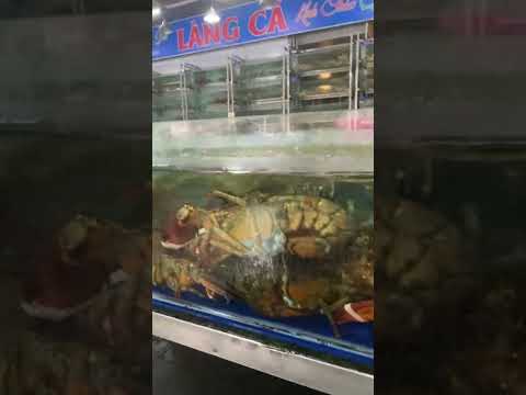 Danang Seafood 😍#food #travel #shorts #short #shortvideo #dulich #vietnam
