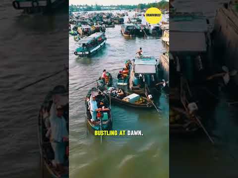Uncover This Hidden Travel Treasure You&rsquo;ll Be Amazed 🌍 #shorts #floatingmarket #vietnamtravel