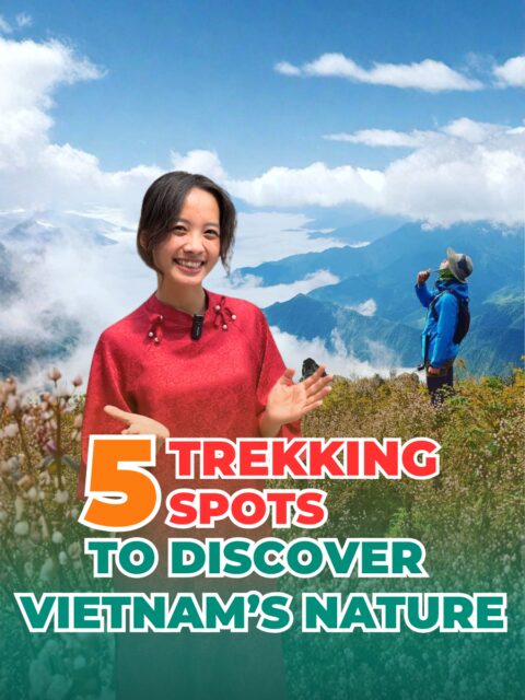 5 stunning trekking spots, from misty mountains to jungle escapes #vietnamtravel #traveltips #wheretovisit #hiking  #local