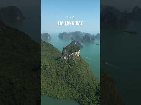 We stayed on a luxury cruise in Ha Long Bay 🚢 #shorts #travelvietnam #halongbaytravel #vietnam