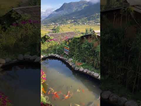 the most majestic homestay in sapa, vietnam #sapa #vietnam #homestay #mountains #countryside #peace