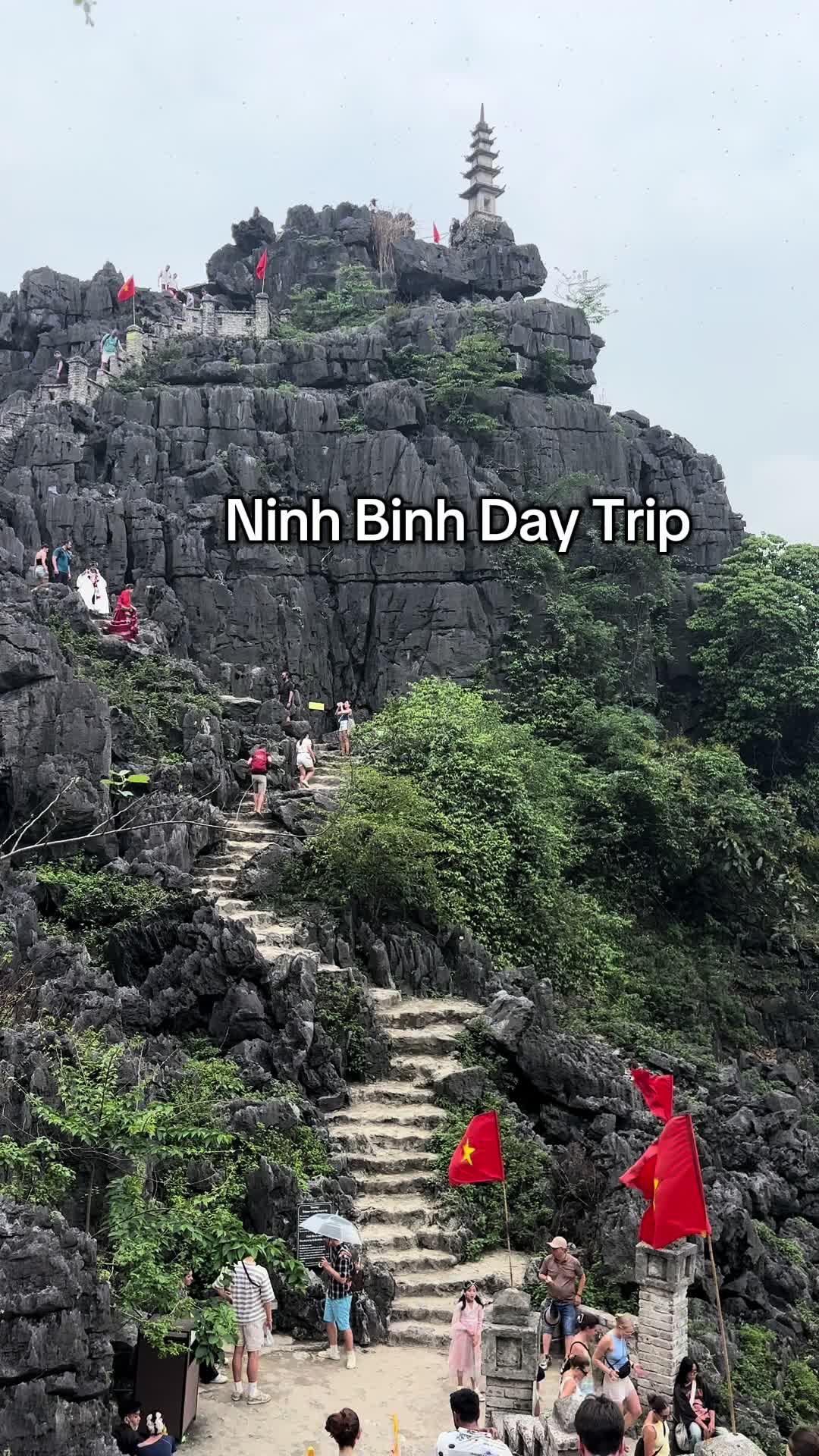 Ninh Binh 🫶🏻 #ninhbinh #vietnam #southeastasia #muacave #travel #fyp #foryoupage #northvietnam #tripadvisor #viator #getyourguide 